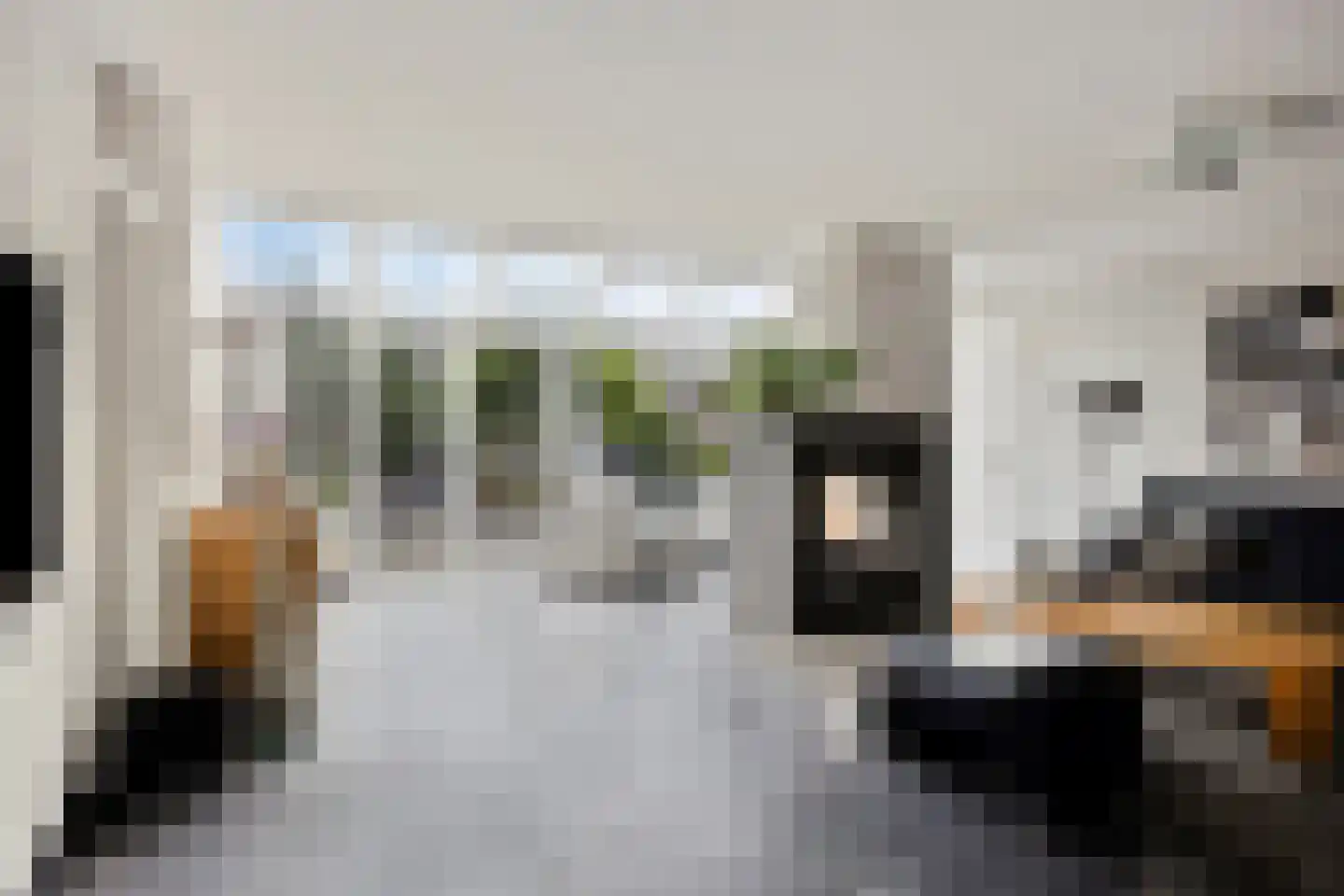 Leeuweriklaan 40 De Lier thumbnail 7