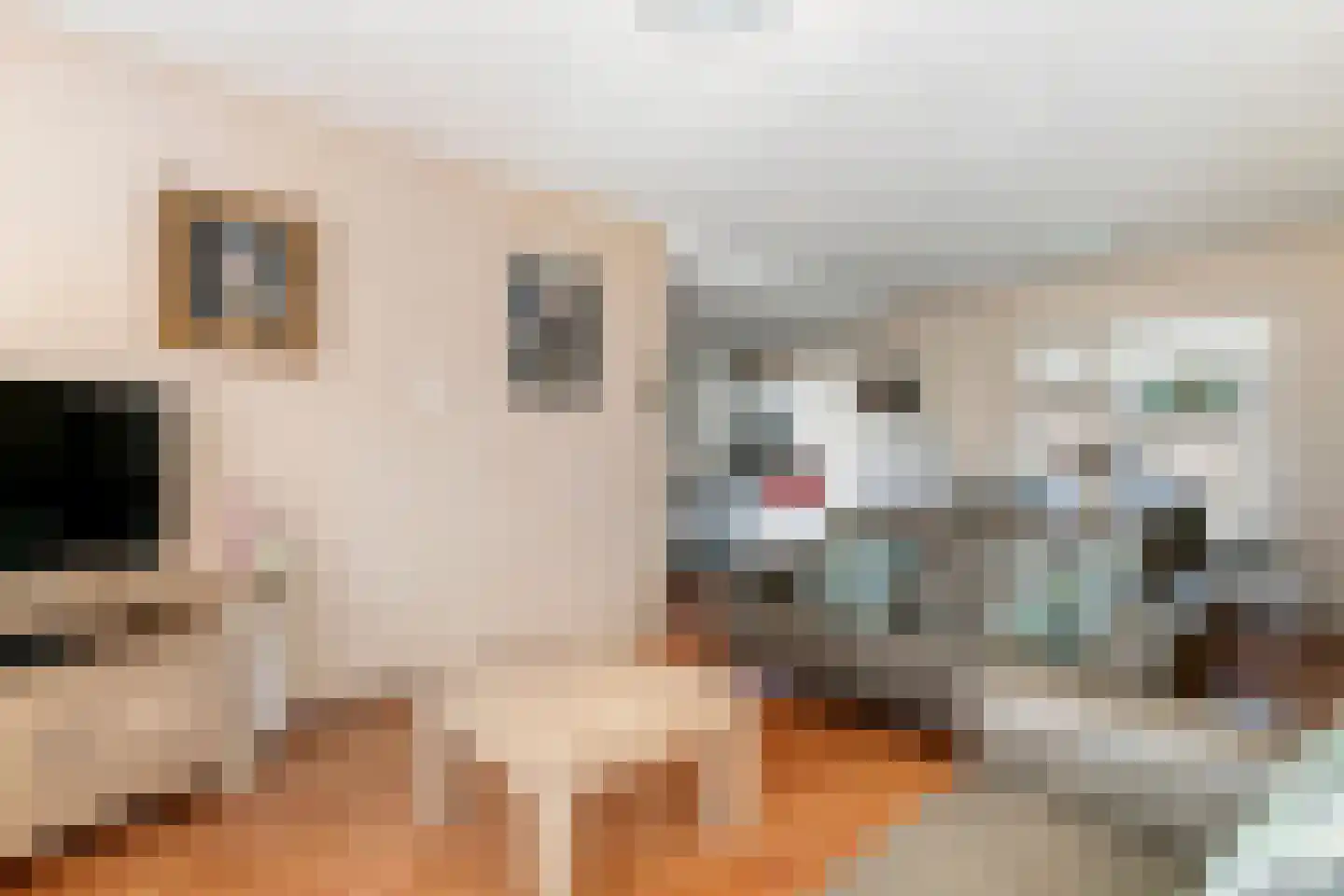 Leeuweriklaan 45 Tiel thumbnail 12