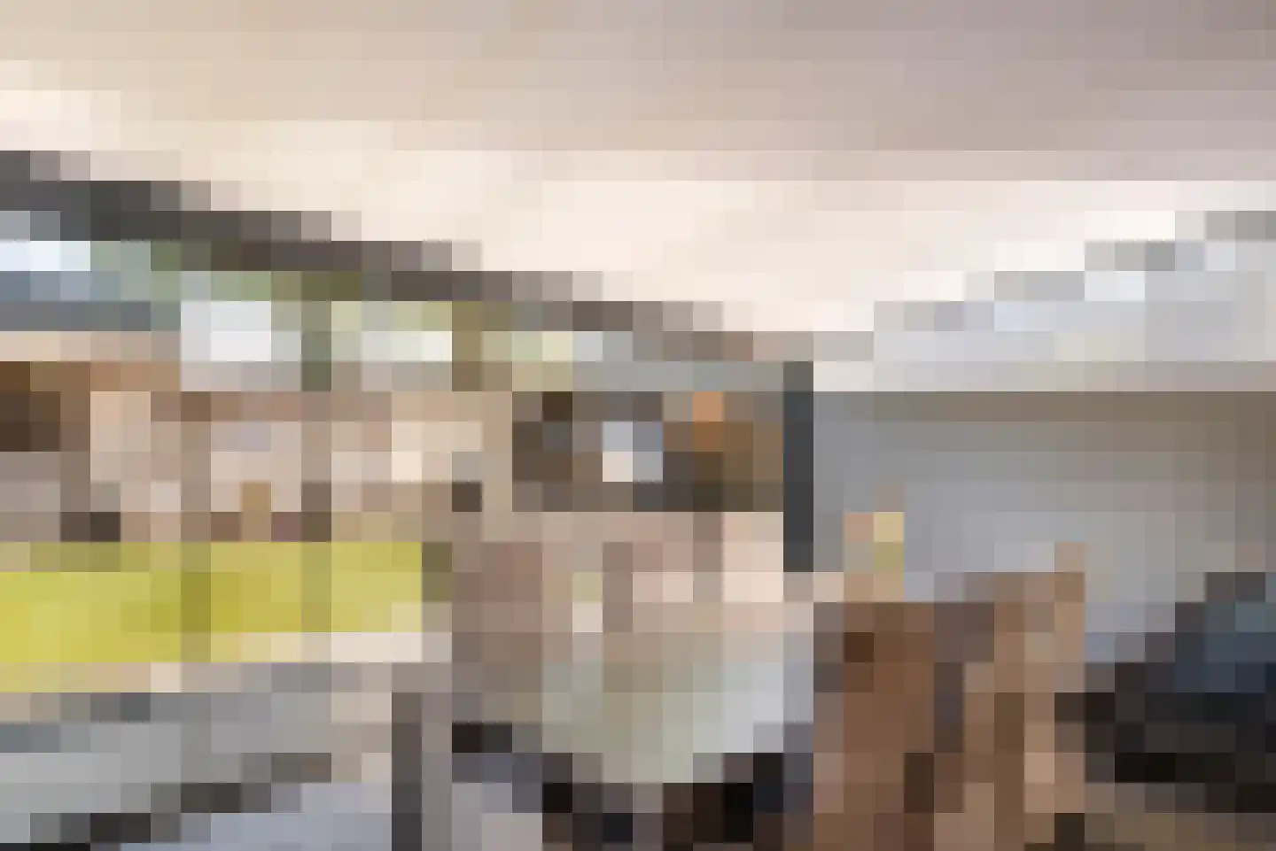 Leeuweriklaan 45 Tiel thumbnail 15