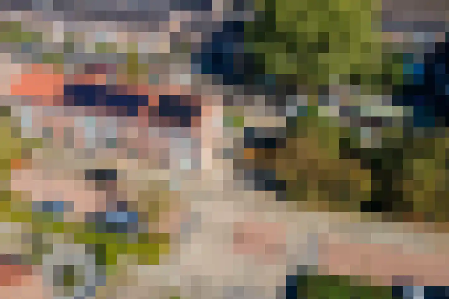 Leeuweriklaan 45 Tiel thumbnail 41