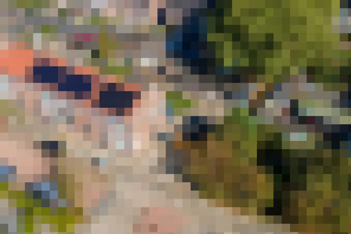 Leeuweriklaan 45 Tiel thumbnail 42