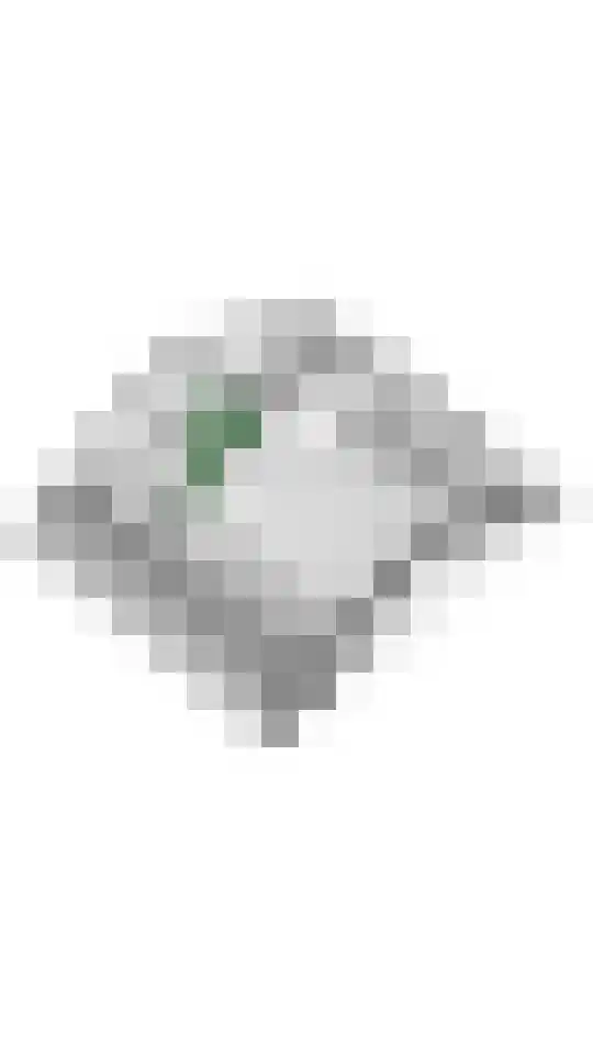 Leeuweriklaan 45 Tiel thumbnail 50