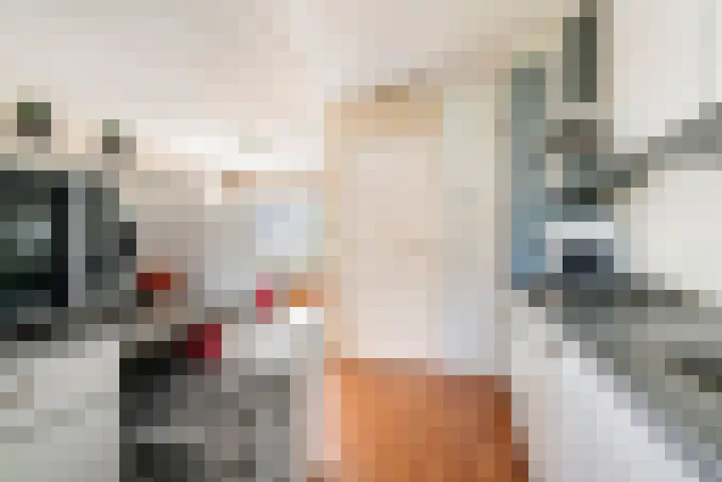 Leeuweriklaan 45 Tiel thumbnail 8