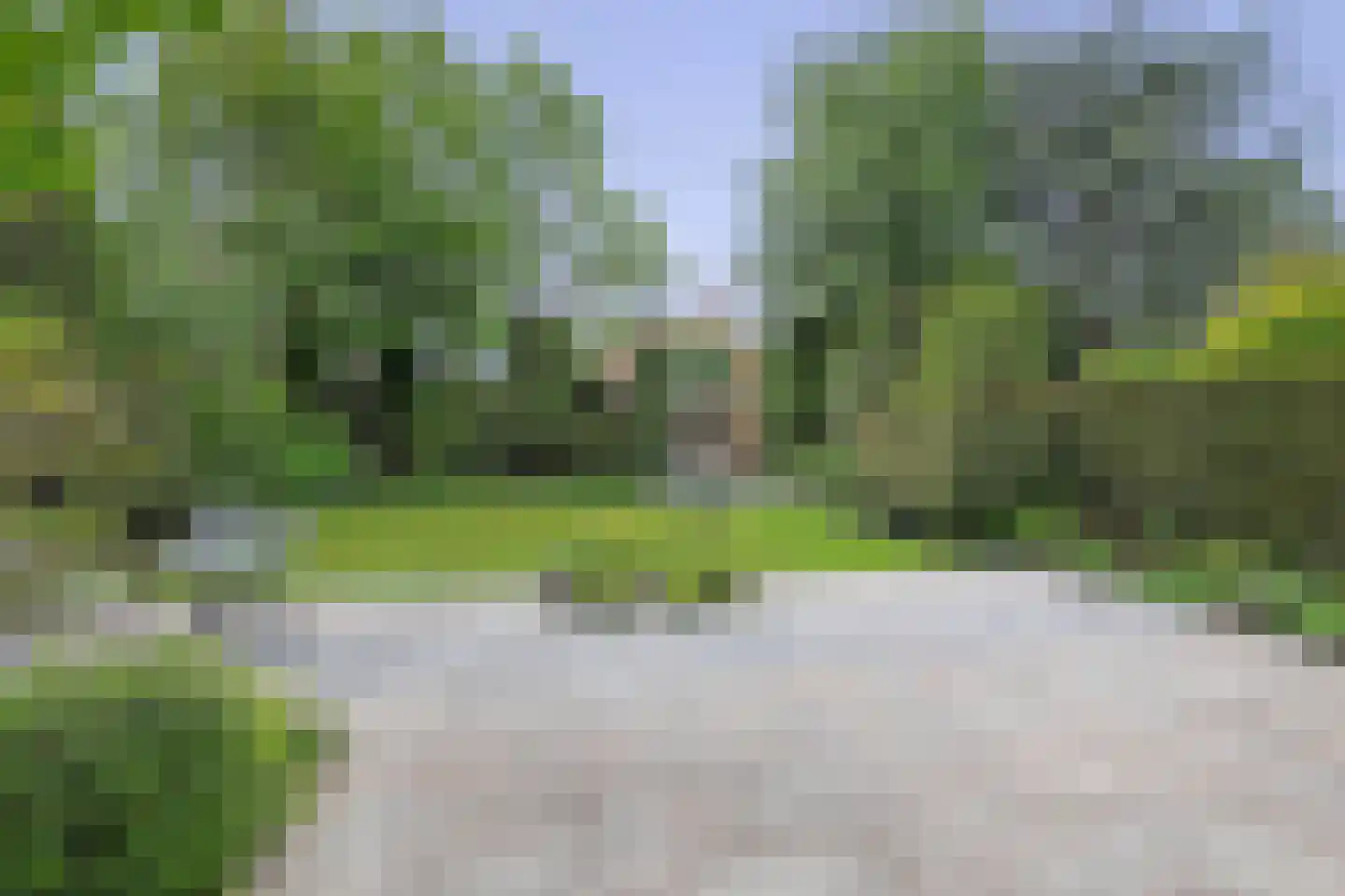 Leeuweriklaan 46 's-Gravenzande thumbnail 19