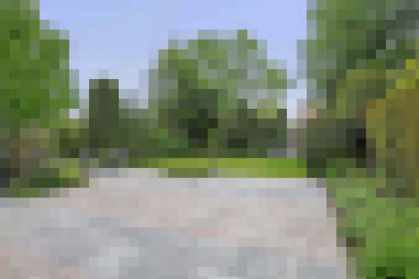 Leeuweriklaan 46 's-Gravenzande thumbnail 20