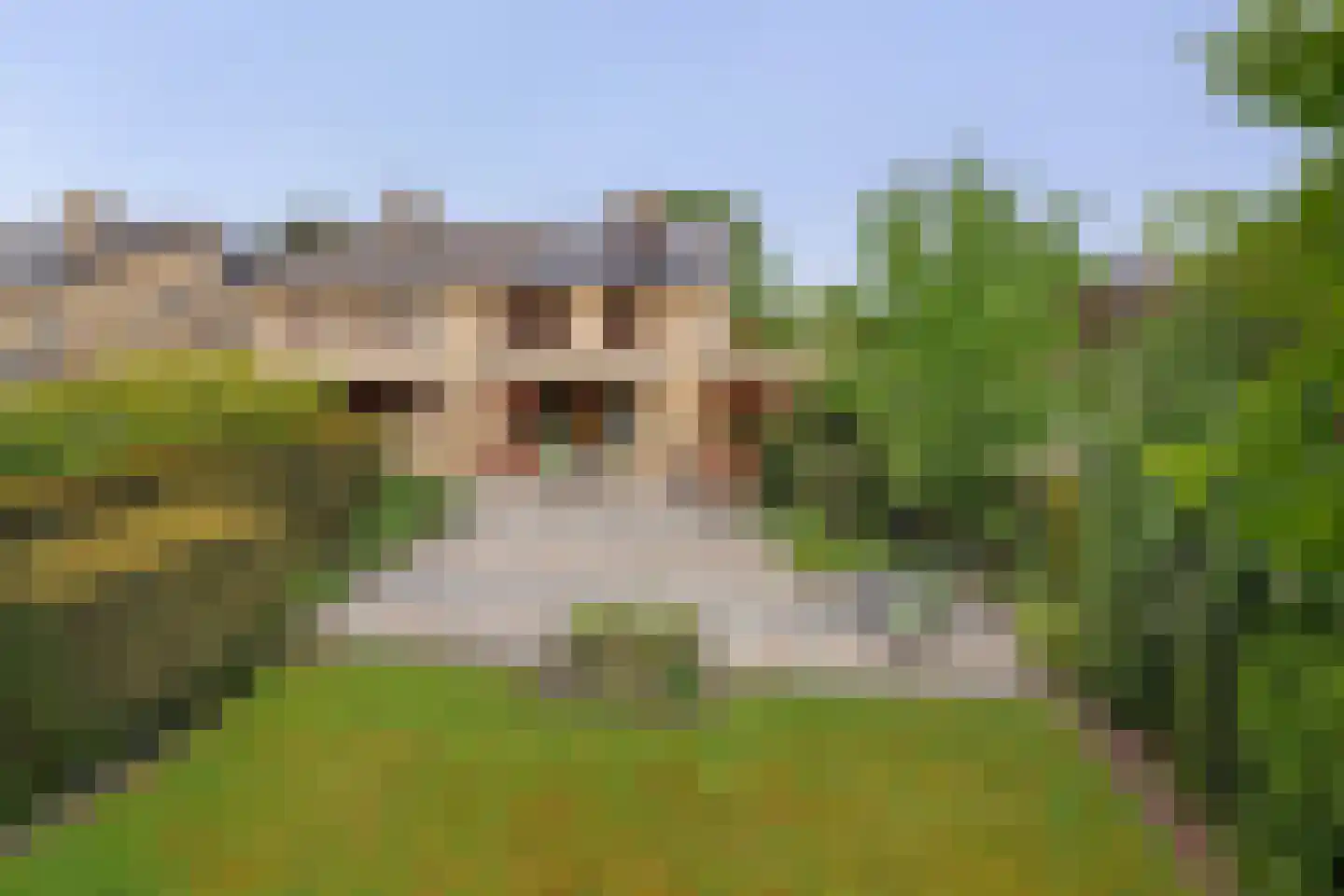 Leeuweriklaan 46 's-Gravenzande thumbnail 4