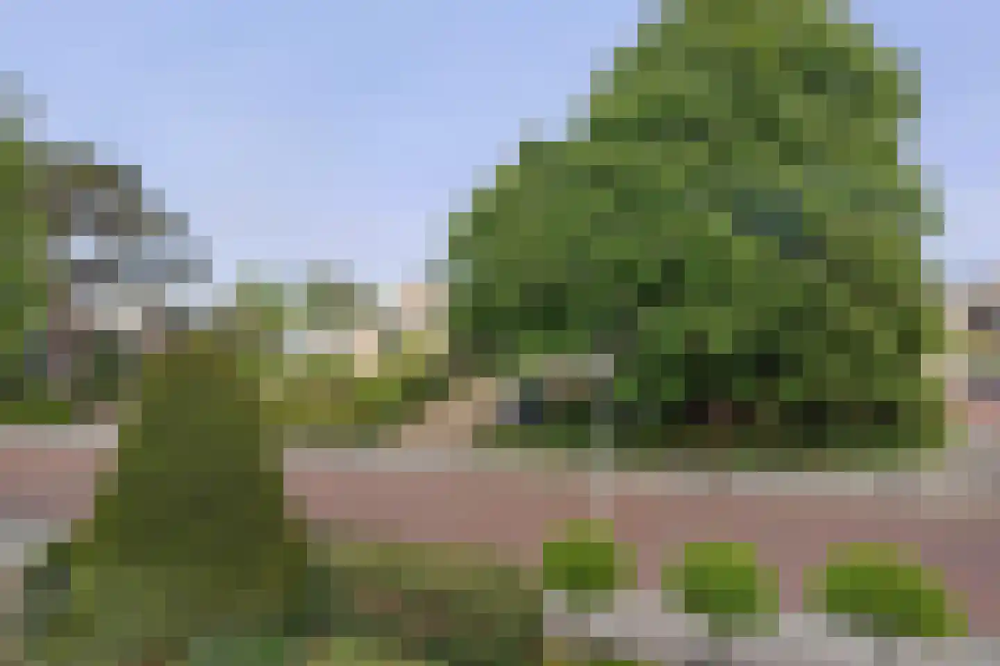 Leeuweriklaan 46 's-Gravenzande thumbnail 45