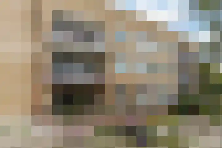 Leeuweriklaan 5 in 's-Gravenzande