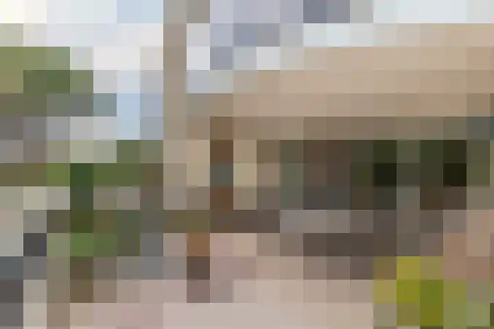 Leeuweriklaan 5 's-Gravenzande thumbnail 15