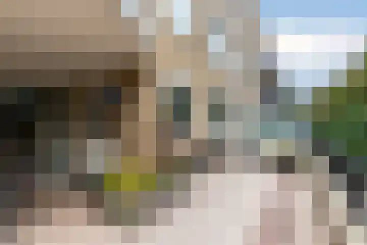 Leeuweriklaan 5 's-Gravenzande thumbnail 16