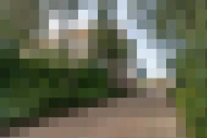 Leeuweriklaan 5 's-Gravenzande thumbnail 31