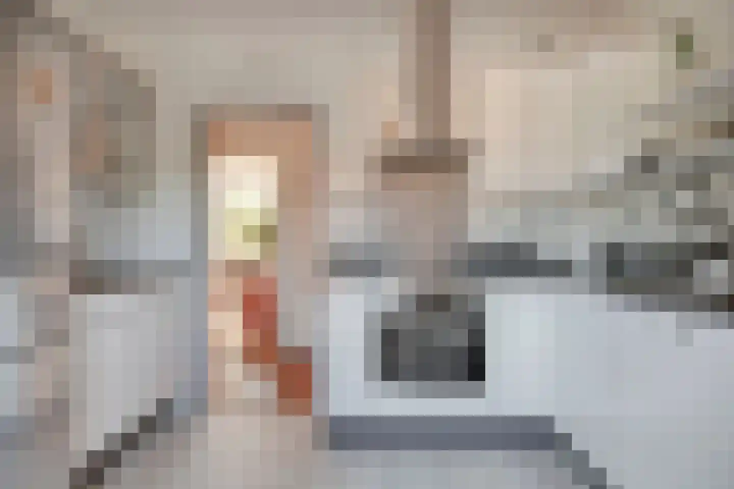 Leeuweriklaan 51 Bussum thumbnail 12