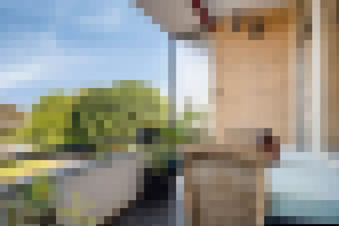Leeuweriklaan 51 Bussum thumbnail 16