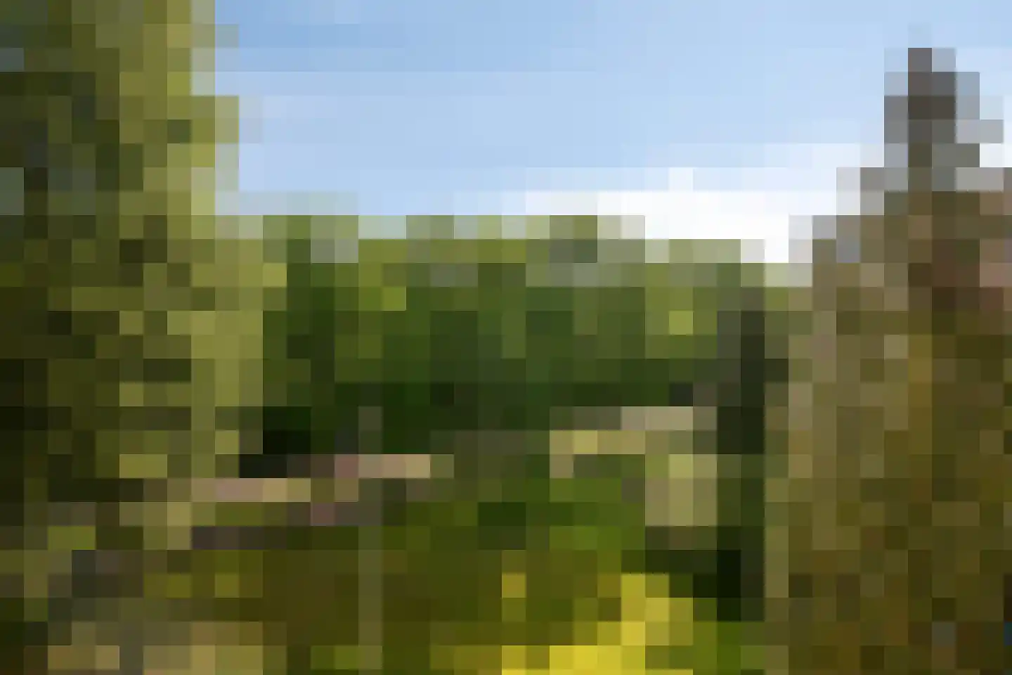 Leeuweriklaan 51 Bussum thumbnail 21