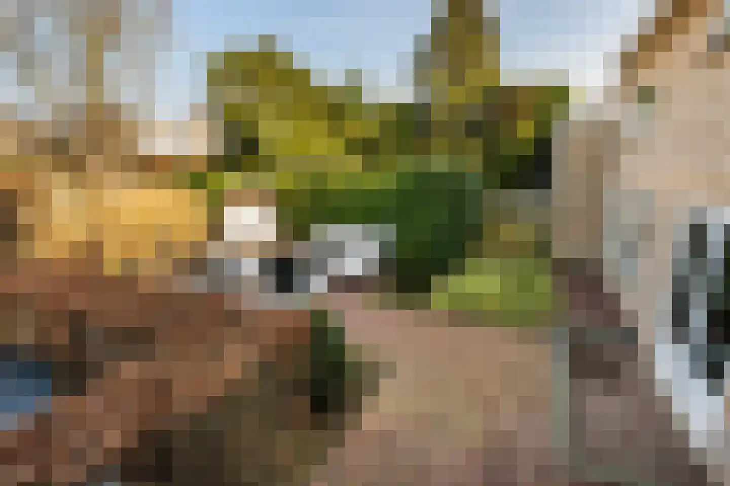Leeuweriklaan 59 's-Gravenzande thumbnail 53