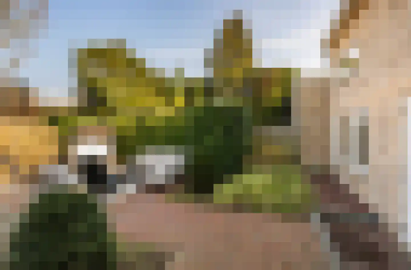 Leeuweriklaan 59 's-Gravenzande thumbnail 54