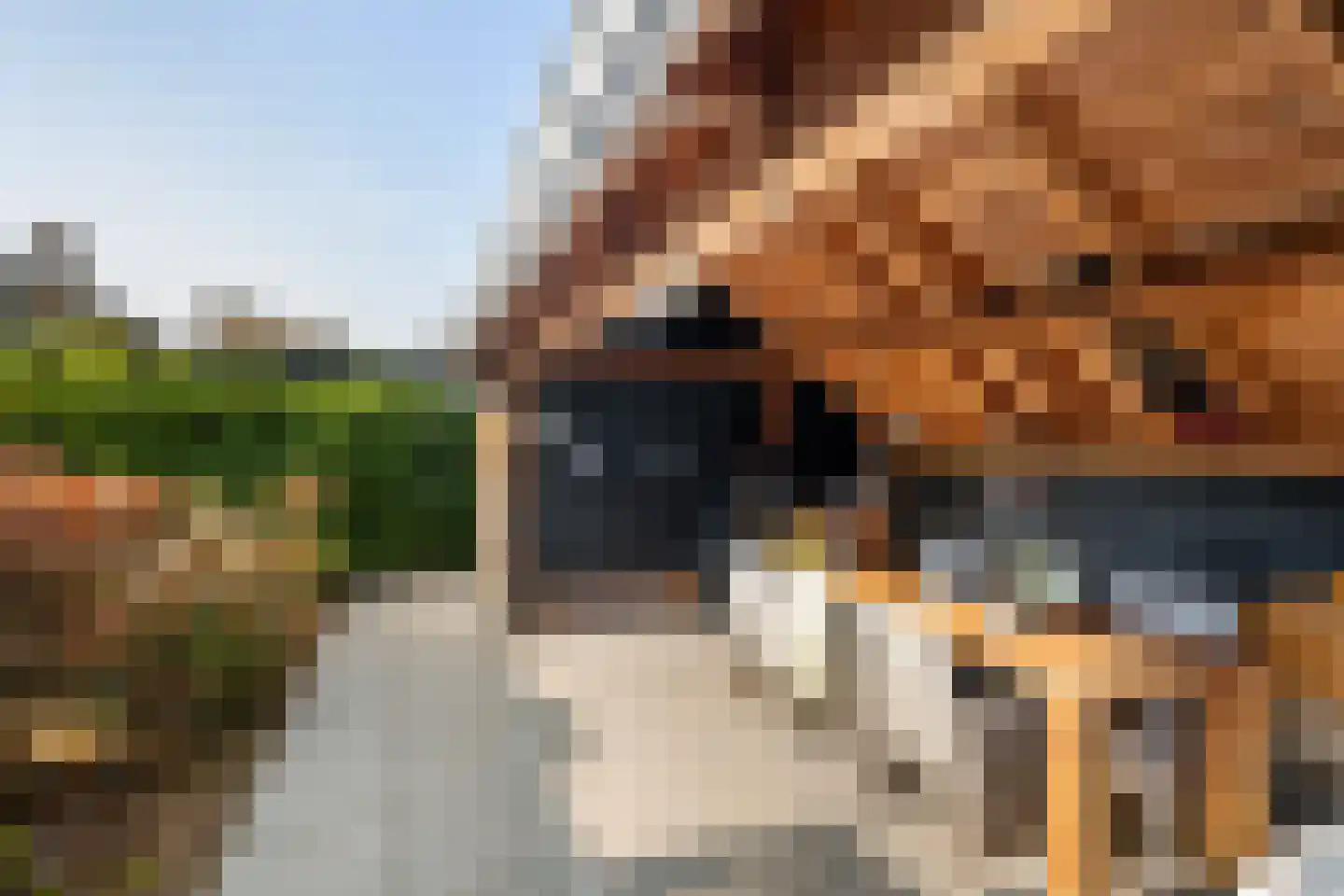Leeuweriklaan 59 's-Gravenzande thumbnail 59