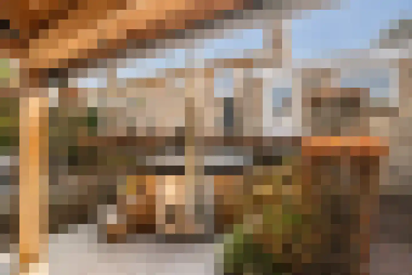 Leeuweriklaan 59 's-Gravenzande thumbnail 62