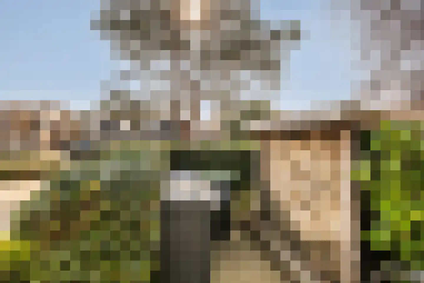 Leeuweriklaan 59 's-Gravenzande thumbnail 65