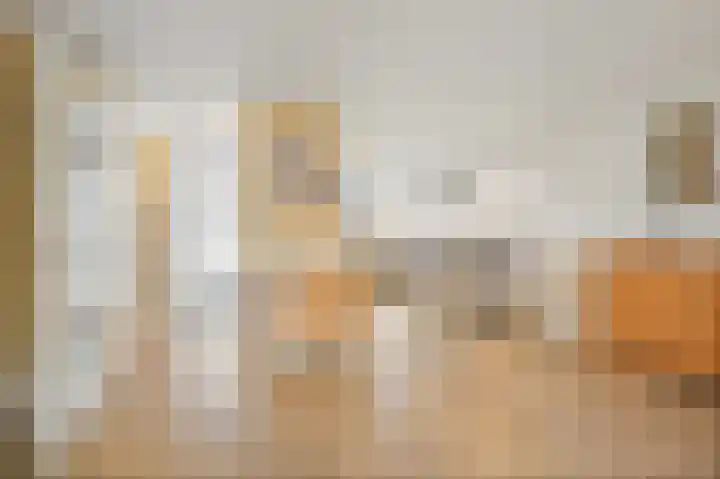 Leeuweriklaan 60 De Lier thumbnail 12