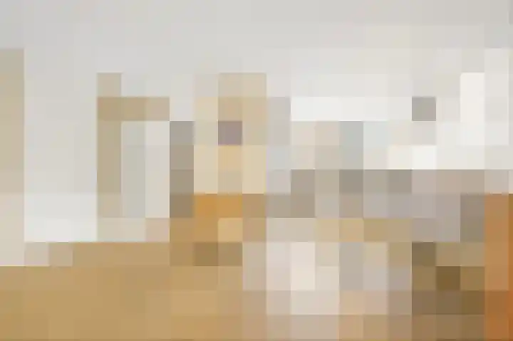 Leeuweriklaan 60 De Lier thumbnail 13