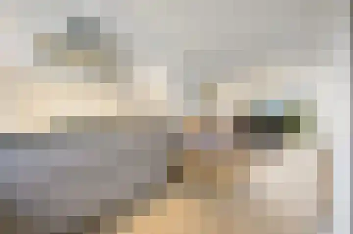 Leeuweriklaan 60 De Lier thumbnail 15