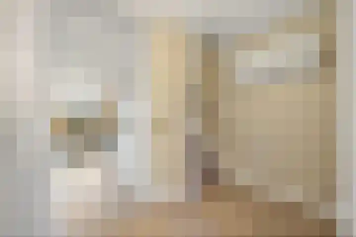 Leeuweriklaan 60 De Lier thumbnail 16