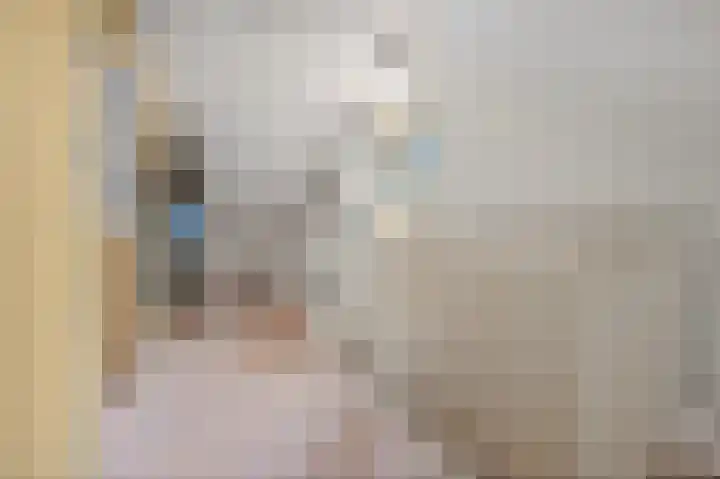 Leeuweriklaan 60 De Lier thumbnail 25