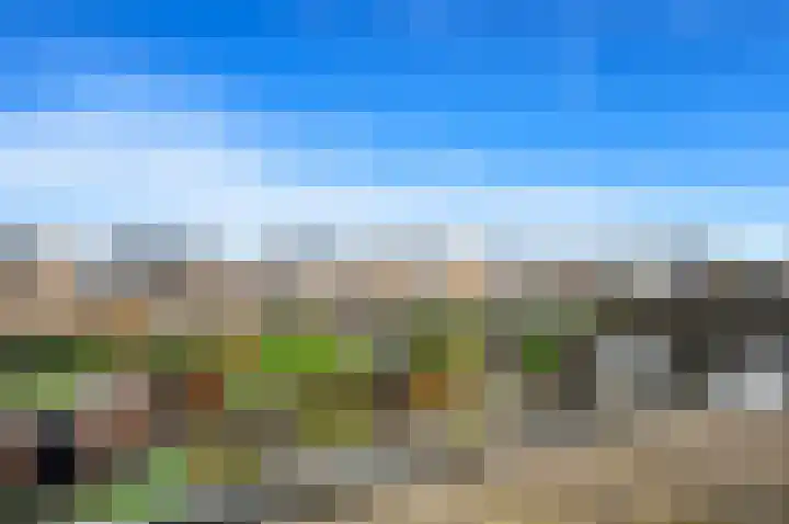 Leeuweriklaan 60 De Lier thumbnail 29