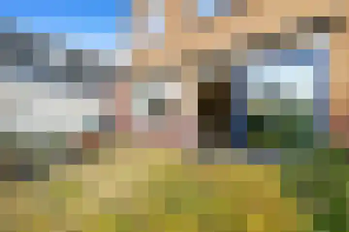 Leeuweriklaan 60 De Lier thumbnail 31