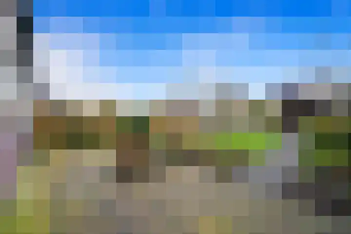 Leeuweriklaan 60 De Lier thumbnail 32
