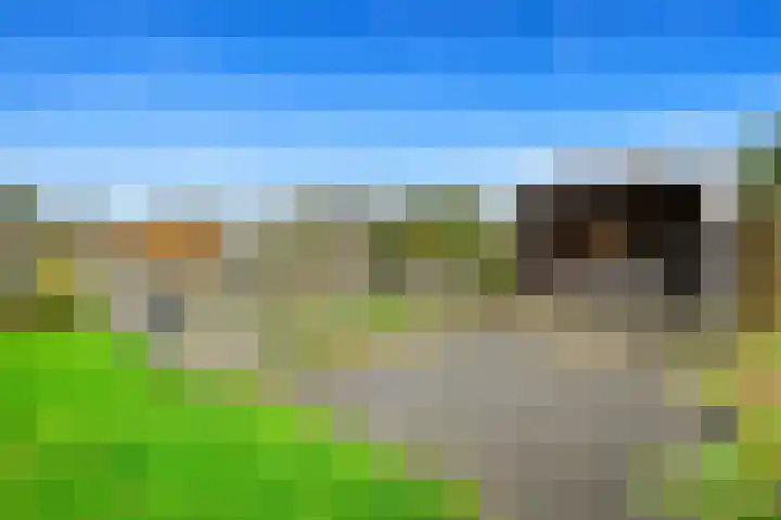 Leeuweriklaan 60 De Lier thumbnail 33