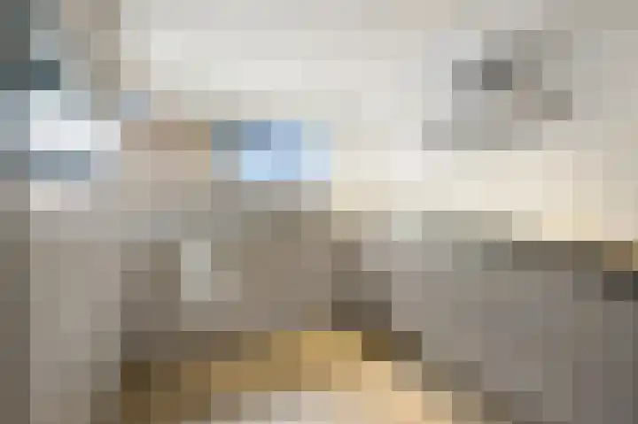 Leeuweriklaan 60 De Lier thumbnail 4