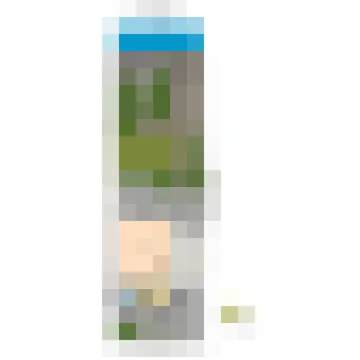 Leeuweriklaan 60 De Lier thumbnail 43
