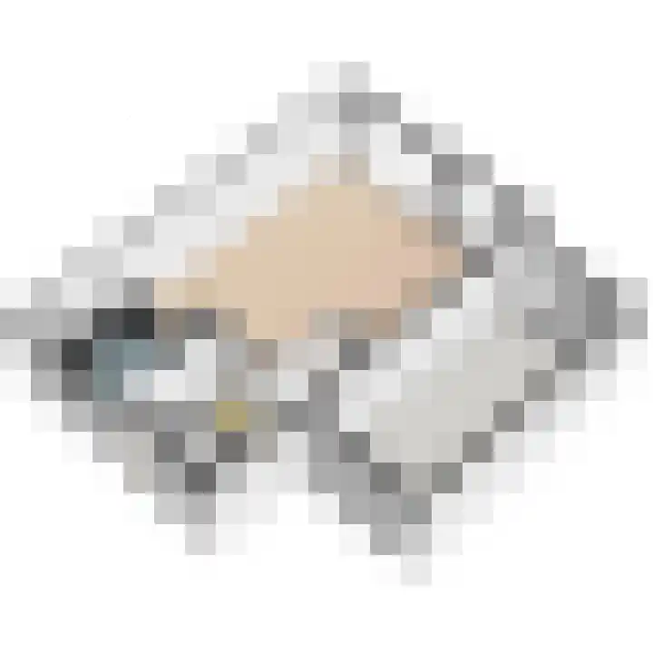 Leeuweriklaan 60 De Lier thumbnail 48