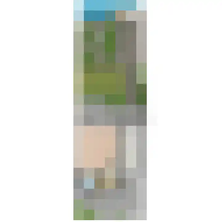 Leeuweriklaan 60 De Lier thumbnail 59