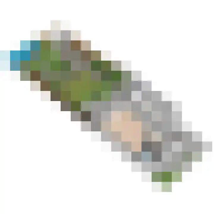 Leeuweriklaan 60 De Lier thumbnail 62