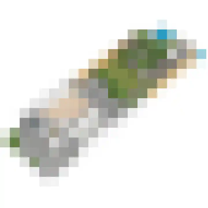 Leeuweriklaan 60 De Lier thumbnail 63
