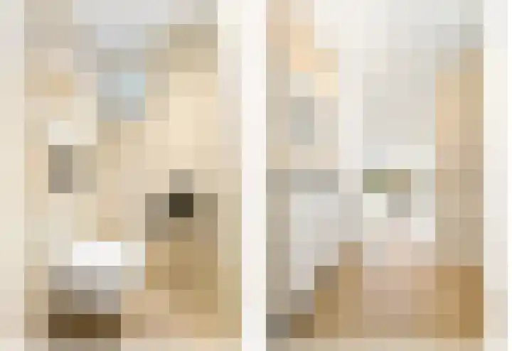 Leeuweriklaan 60 De Lier thumbnail 9