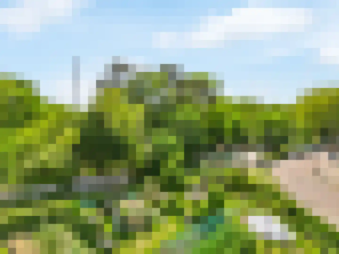 Leeuweriklaan 7 IJmuiden thumbnail 34
