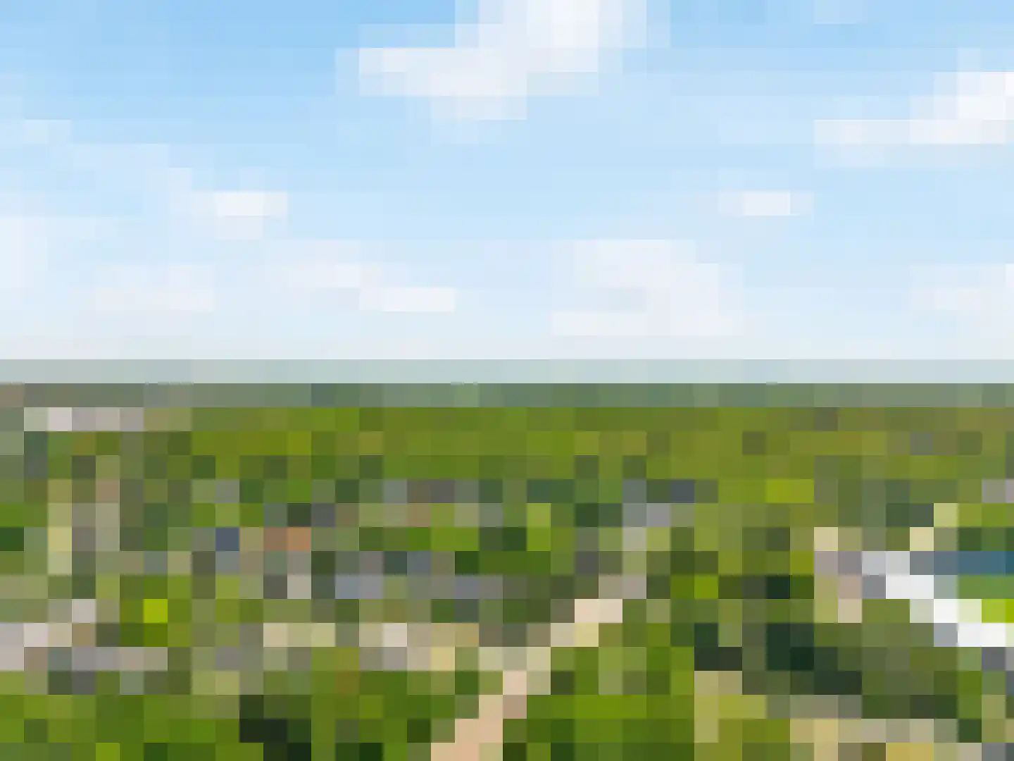 Leeuweriklaan 7 IJmuiden thumbnail 37
