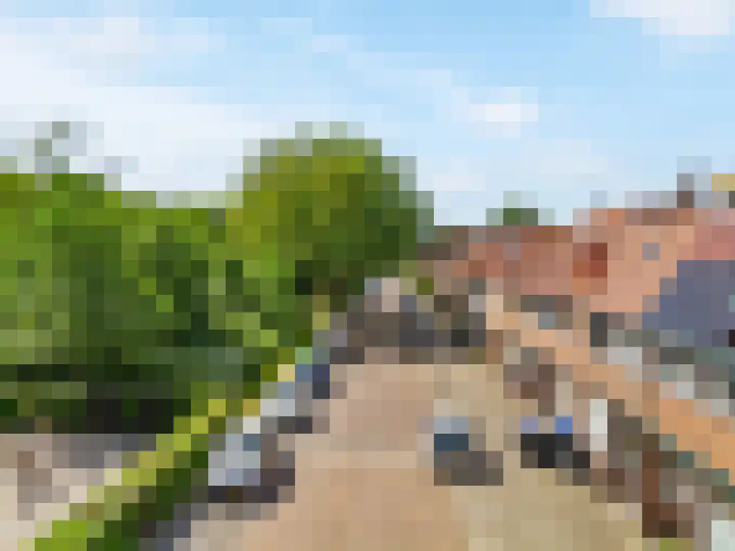 Leeuweriklaan 7 IJmuiden thumbnail 4