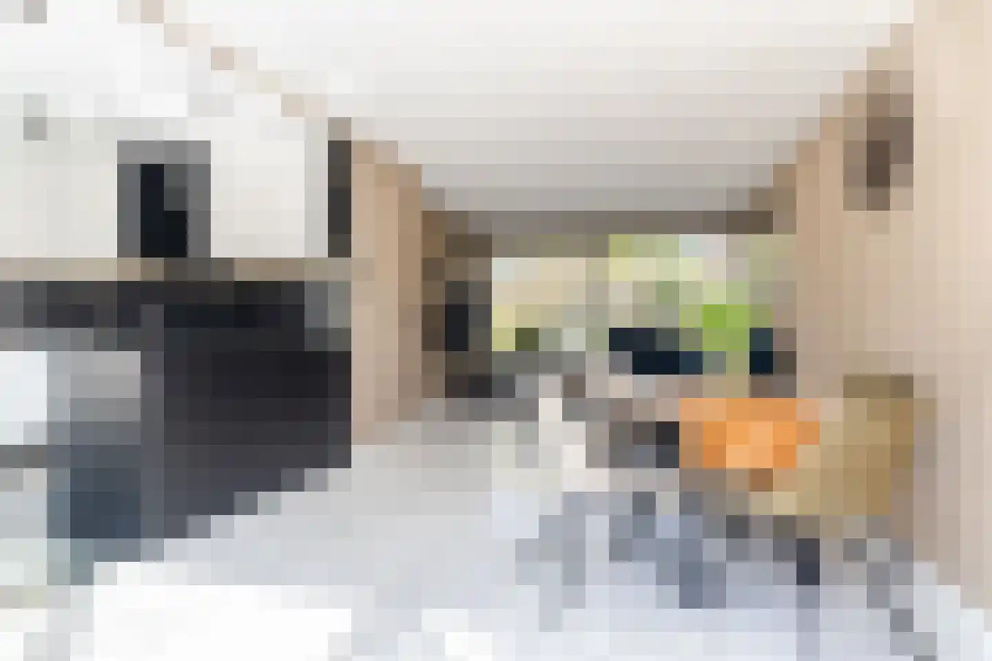 Leeuweriklaan 76 Tiel thumbnail 10