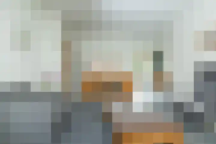 Leeuweriklaan 8 Hoogeveen thumbnail 13
