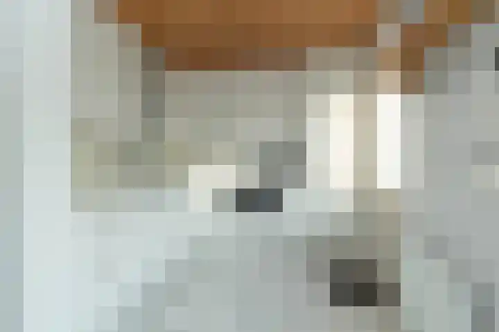 Leeuweriklaan 8 Hoogeveen thumbnail 16