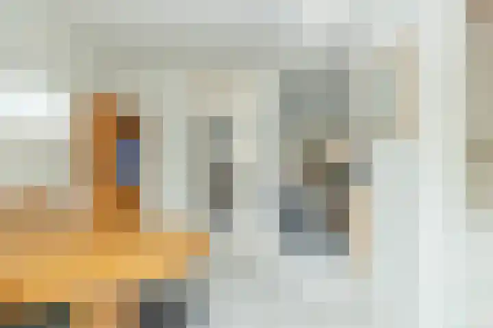 Leeuweriklaan 8 Hoogeveen thumbnail 18