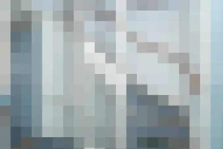 Leeuweriklaan 8 Hoogeveen thumbnail 32