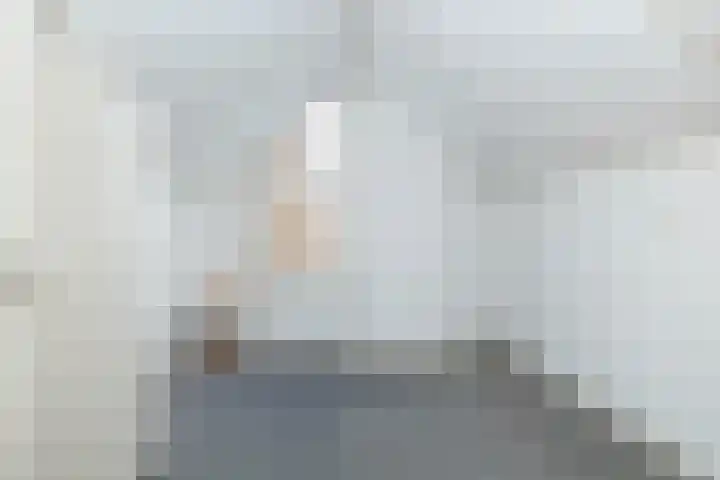 Leeuweriklaan 8 Hoogeveen thumbnail 34