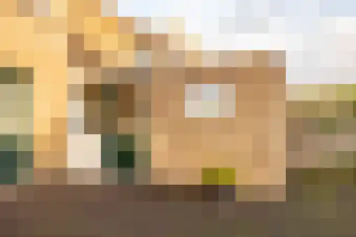 Leeuweriklaan 8 Hoogeveen thumbnail 38