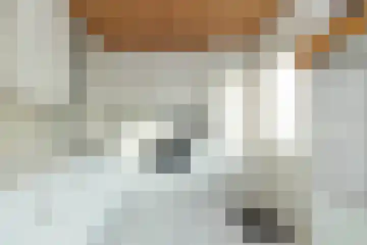 Leeuweriklaan 8 Hoogeveen thumbnail 4